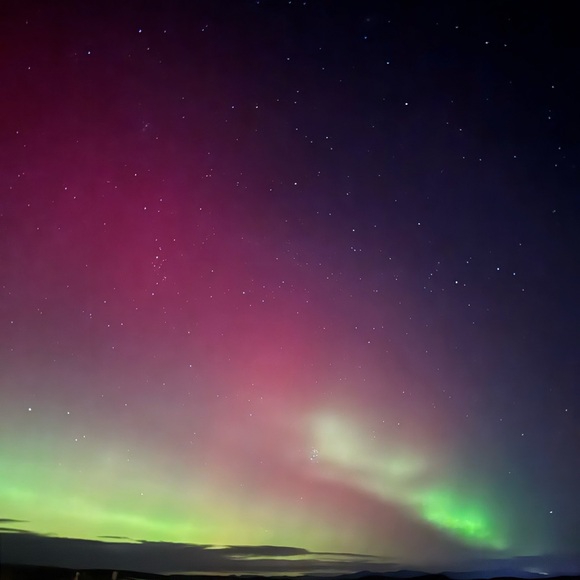 Meet your Posher, Cidney - Picture 1 of 1